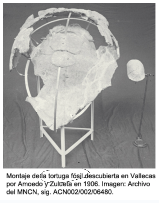 Imagen 8